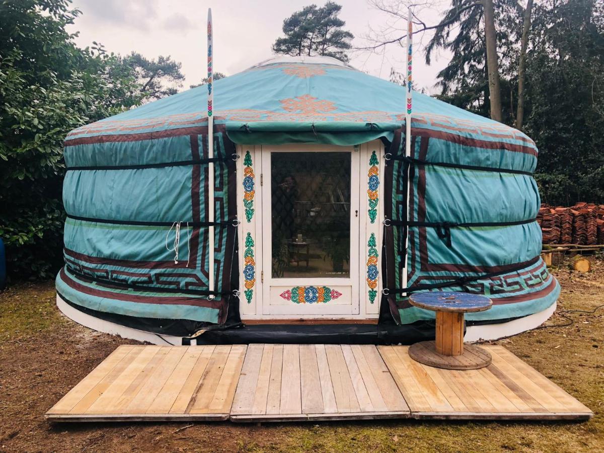 Tiny House 'T Heidehoes In Usselo Enschede Zewnętrze zdjęcie