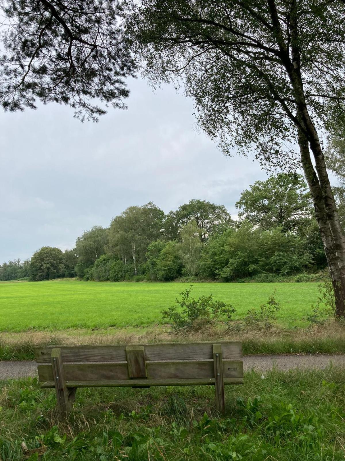 Tiny House 'T Heidehoes In Usselo Enschede Zewnętrze zdjęcie